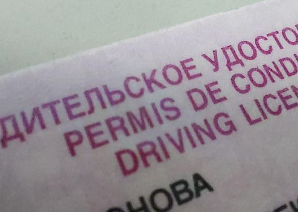 ГИБДД с 1 октября разрешит водителям предъявлять электронные права