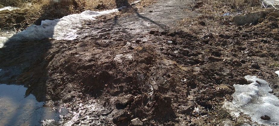 Полсотни карпинцев, живущих в домах на улицах Лермонтова, Ленина и Луначарского, требуют сделать им тротуар