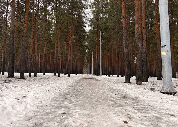 «Таять будет долго»: Горожане просят почистить от снега пешеходные дорожки в Комсомольском парке