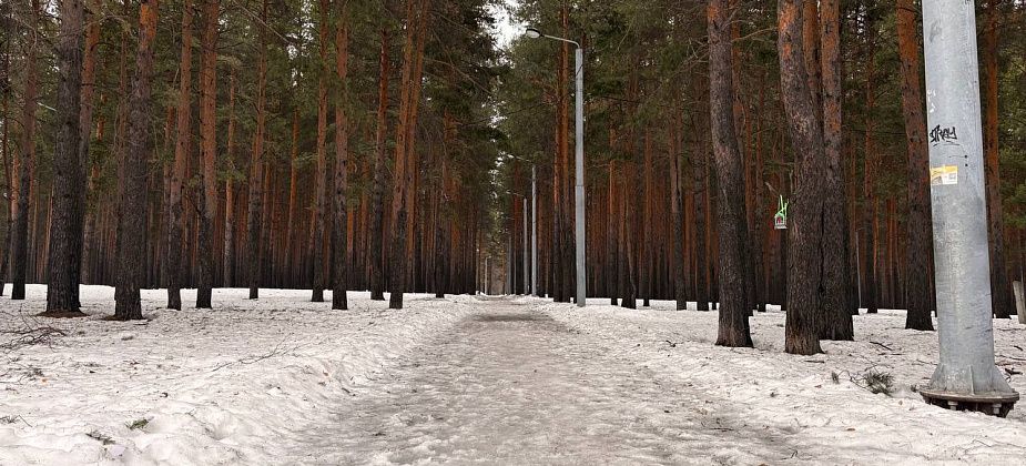 «Таять будет долго»: Горожане просят почистить от снега пешеходные дорожки в Комсомольском парке