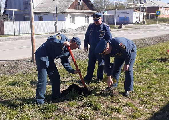 Карпинские пожарные поучаствовали в акции «Сад памяти» и посадили на своей территории шесть деревьев