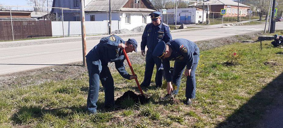 Карпинские пожарные поучаствовали в акции «Сад памяти» и посадили на своей территории шесть деревьев