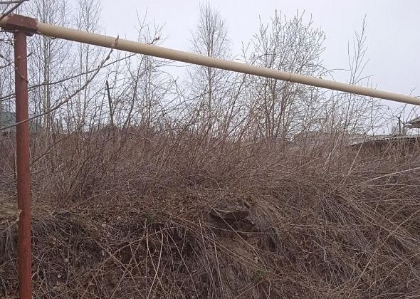 Горожане обеспокоены брошенными земельными участками, которые представляют пожарную опасность