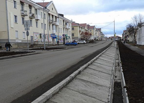 Улица снова станет зеленой: на Мира и Пролетарской высадят более трехсот деревьев