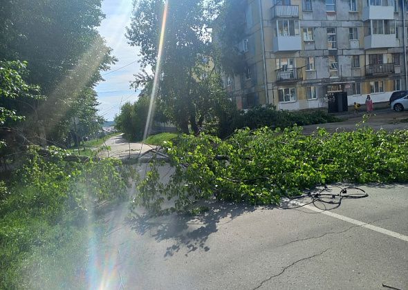 В Карпинске сильные порывы ветра обломали тополя и оборвали провода