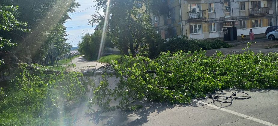В Карпинске сильные порывы ветра обломали тополя и оборвали провода