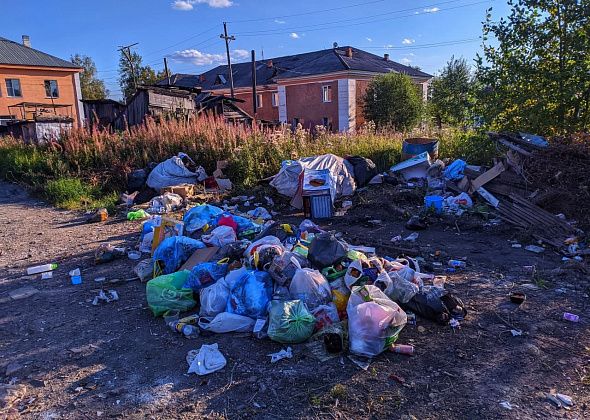 Карпинцы жалуются на отсутствие мусорных баков. Их просто увезли, а мусор — высыпали на землю