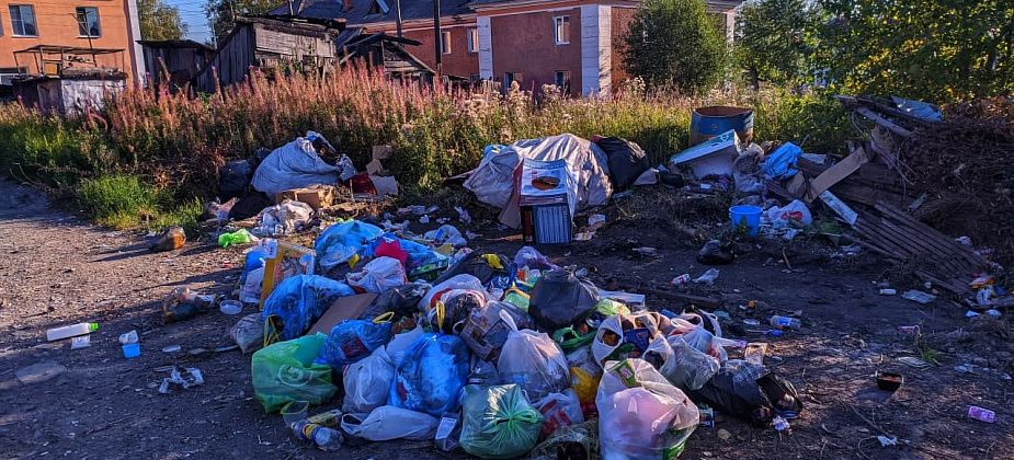 Карпинцы жалуются на отсутствие мусорных баков. Их просто увезли, а мусор — высыпали на землю