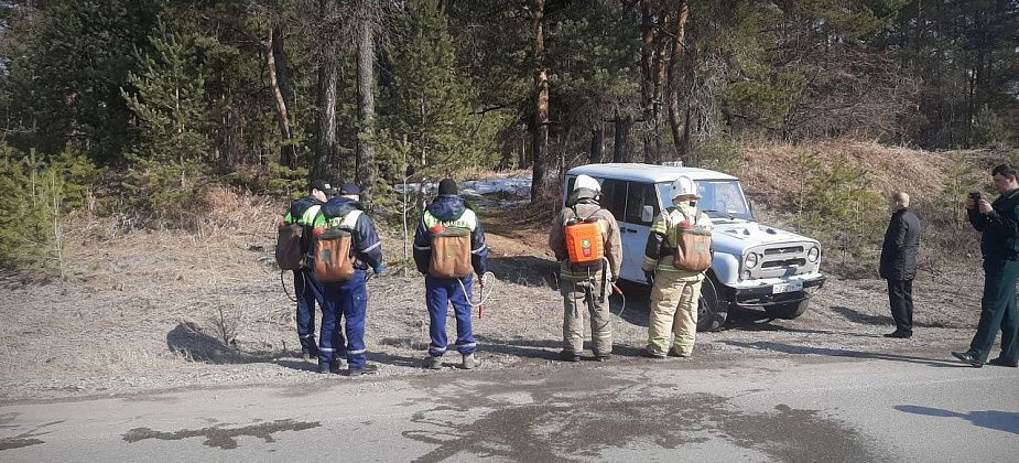 В Карпинске прошли массовые учения по ликвидации лесного пожара