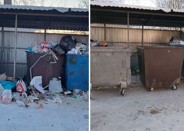 Жители переулка Декабристов возмущены мусором на контейнерной площадке. Рифей прокомментировал ситуацию