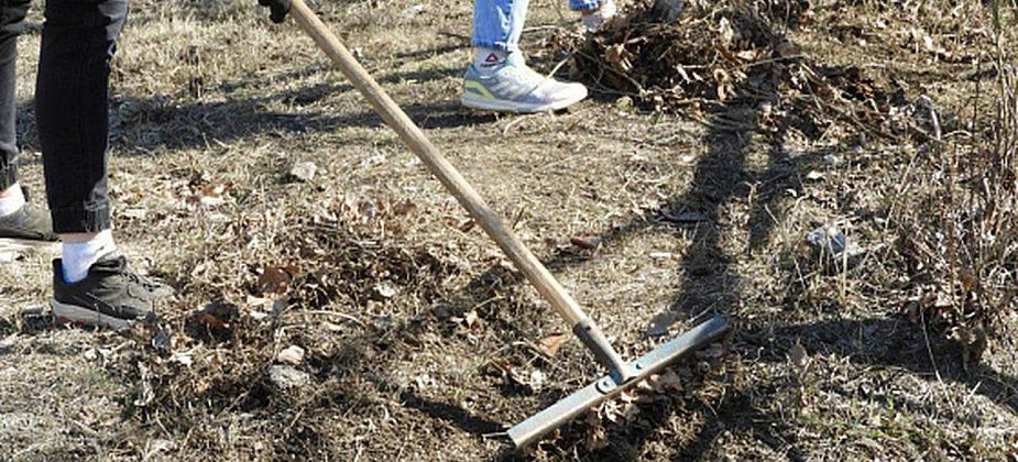 Пора зарабатывать: молодых карпинцев приглашают записаться в трудовой лагерь