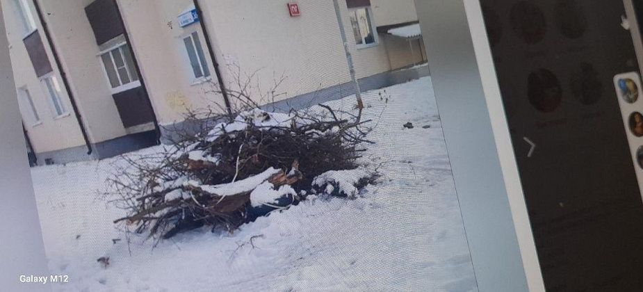 «Часть парковки занимает»: читатель пожаловался на мусор по 8 Марта