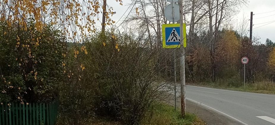 В Карпинске приведут в порядок кустарную растительность