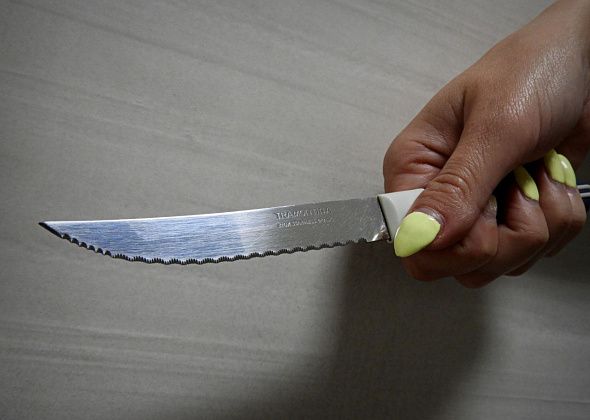 Вынесен приговор жительнице Карпинска, которая в ответ на оскорбления молча нанесла несколько ножевых