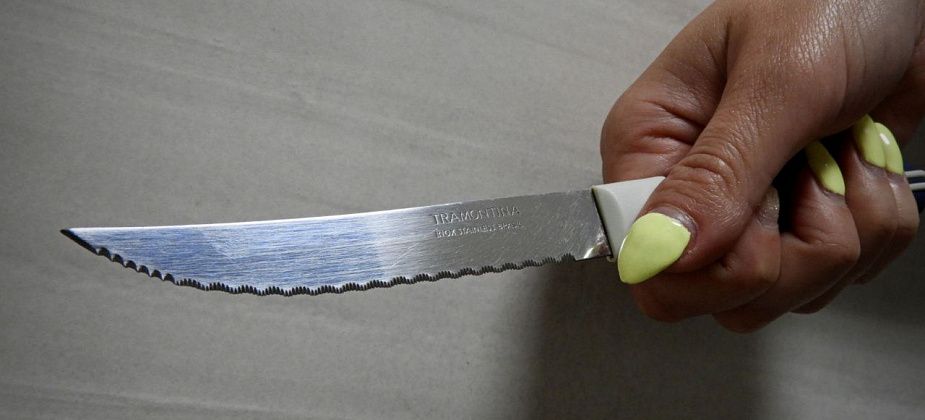 Вынесен приговор жительнице Карпинска, которая в ответ на оскорбления молча нанесла несколько ножевых
