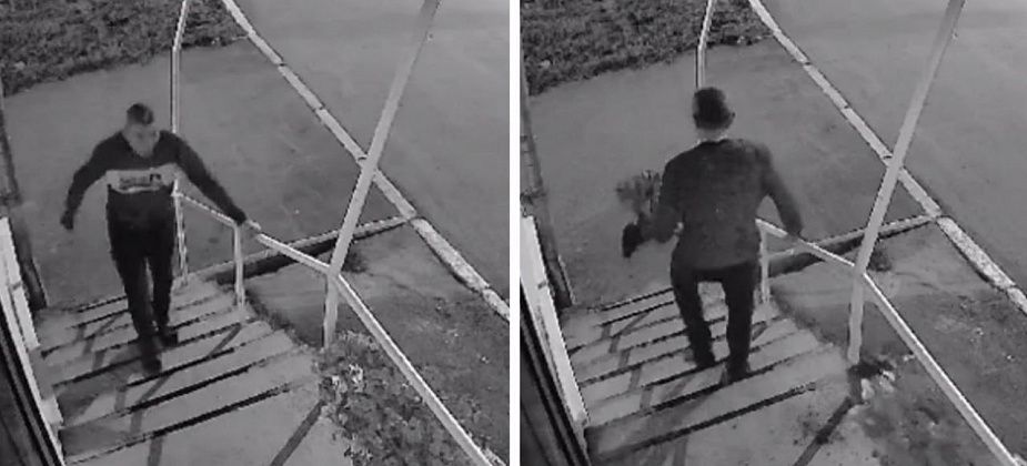 В Карпинске мужчина нарвал цветов с клумбы у магазина. Теперь этого романтика просят возместить ущерб