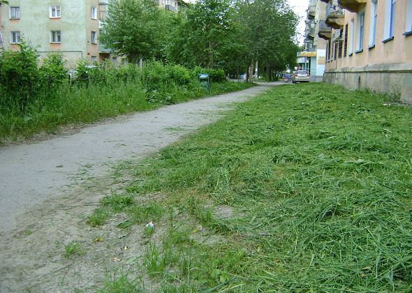На скашивание травы в городе дополнительно выделено полмиллиона рублей