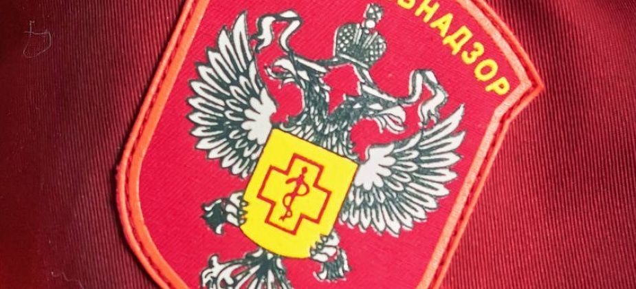 В Роспотребнадзоре рассказали, что не так с сервисом доставки роллов «Шинкай»
