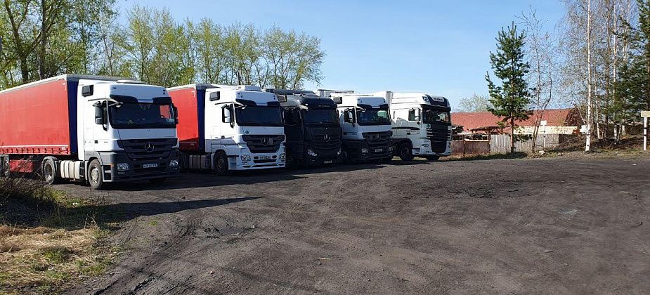 Работники пилорамы прибрали территорию, где лежал мусор от их иностранных клиентов 