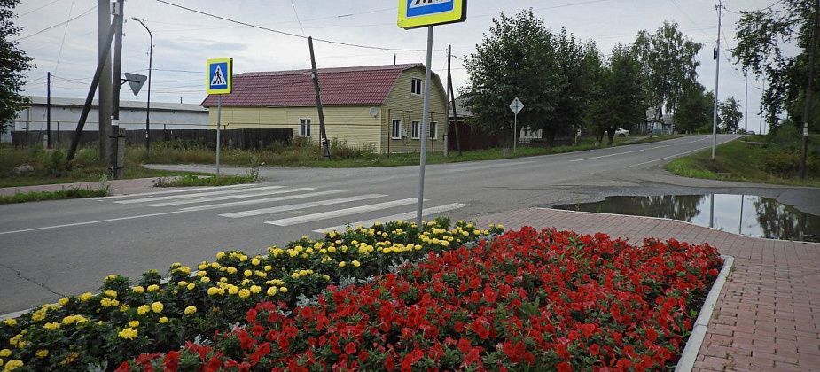 В Карпинске пока не могут найти подрядчика для посадки цветов в городе