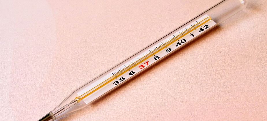 Где и когда карпинцы смогут сдать ртутьсодержащие отходы