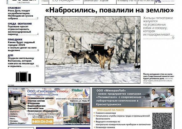 Нападение собак, ледовый городок и ДТП – читайте в «Вечернем Карпинске»