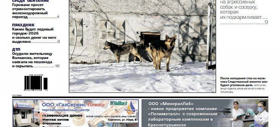 Нападение собак, ледовый городок и ДТП – читайте в «Вечернем Карпинске»