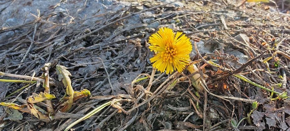 От 20-градусной жары к снегу. Синоптики предупреждают о смене погоды на севере области