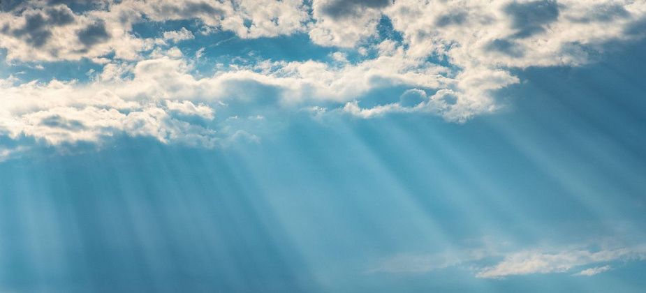 Какая погода ожидает горожан в первые дни июля