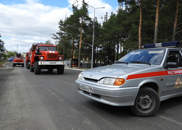 Кинологи проверили здание суда. Тревога оказалась ложной