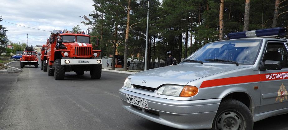 Кинологи проверили здание суда. Тревога оказалась ложной