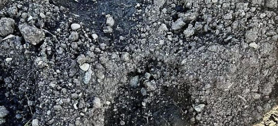 «Очень страшно, что он рядом!». В сад под Краснотурьинском заходил медведь