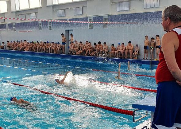 В Карпинске состоялись городские соревнования по плаванию на спине