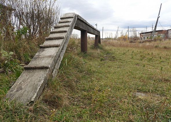 На стадионе «Труд» устроят площадку для выгула домашних животных