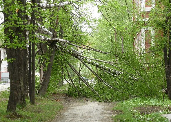 В Свердловской области объявлено экстренное предупреждение. Будьте осторожны!