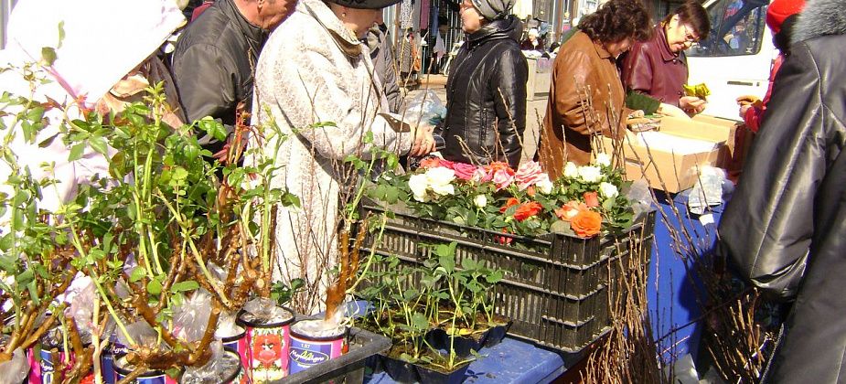 В Карпинске пройдут сельскохозяйственные ярмарки
