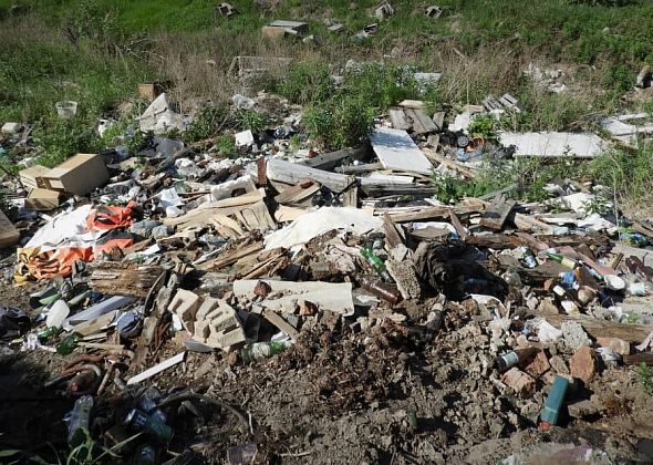 Уборкой нелегального мусора в Карпинске займется предприниматель из Перми