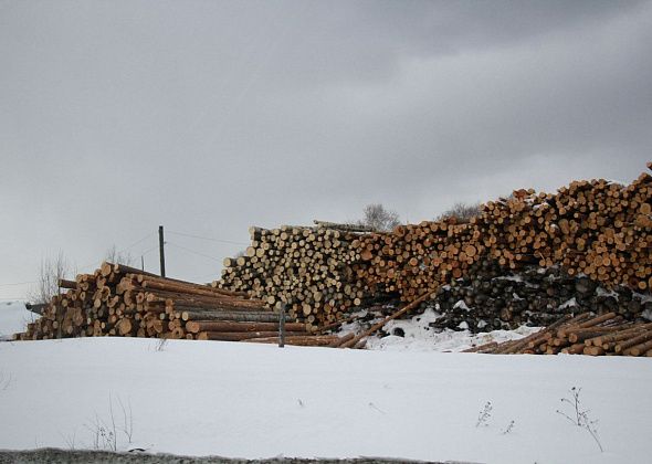 Прокуратура Карпинска привлекла к ответственности фирму, которая неправильно вырубает лес