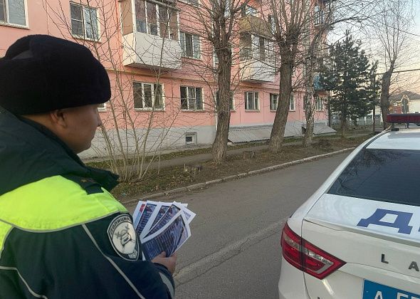 Госавтоинспекция провела акцию «Водитель, готовься к зиме!»