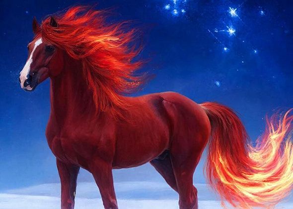 Год Лошади: что обещают звезды? Гороскоп на 2026 год для всех знаков Зодиака