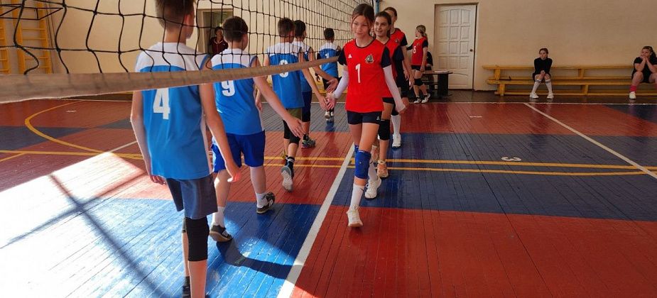 В карпинской спортшколе прошел турнир по волейболу, посвященный 50-летнему юбилею учреждения