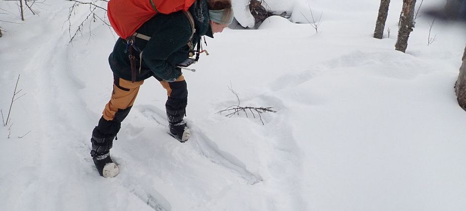 Читать следы так же интересно, как смотреть сериал про жизнь