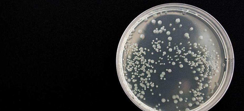 В Карпинске наблюдается неблагополучная ситуация с кишечными инфекциями