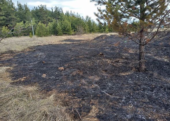 Сотрудники ОНД ждут от горожан вопросов по теме «Особого противопожарного режима»