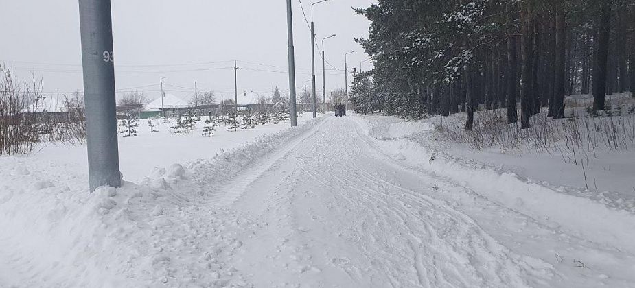 Некоторые пожилые карпинцы считают, что им «тропа здоровья» в парке важнее, чем лыжникам