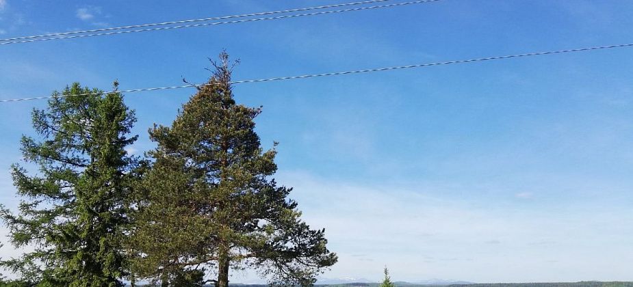 В Карпинске планируется новый добровольный субботник. Присоединяйтесь