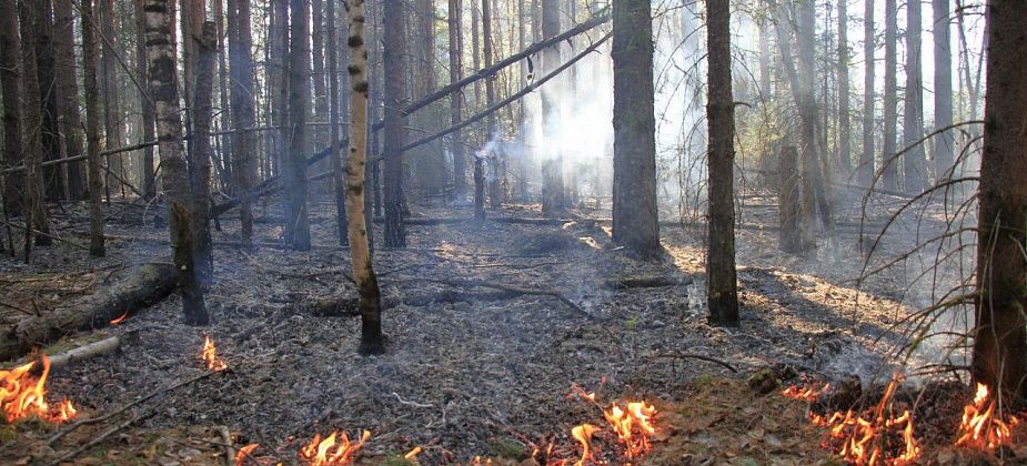Сохраняется режим повышенной готовности в условиях сложной пожарной обстановки