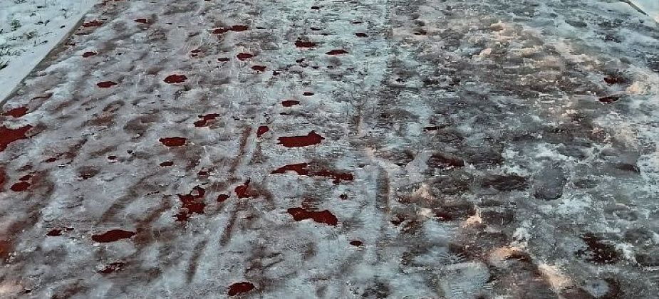 Подсыпки тротуаров в парке ДКУ не будет. Денег на это не выделяли