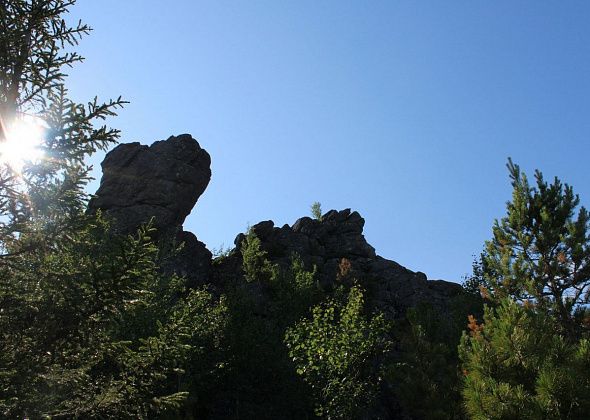 «Нужны опытные люди»: дочь пропавшего под Карпинском екатеринбуржца рассказала о поисках отца