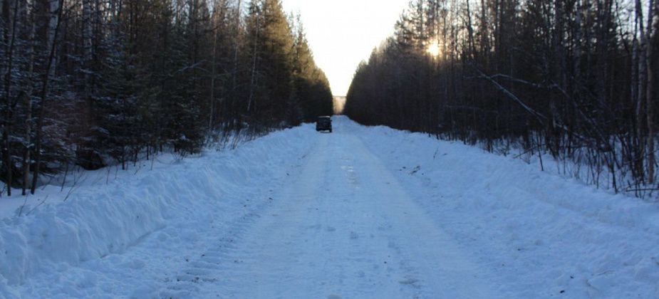 В СК рассказали подробности убийства работника ЛПУ